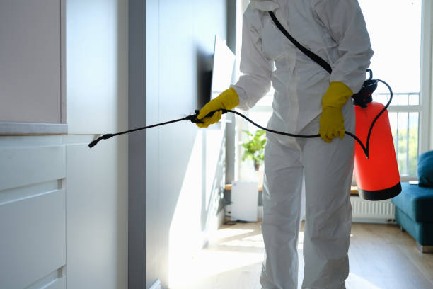 Best Mold Testing  in Centuria, WI