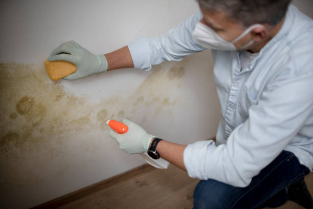 Crawl Space Mold Removal in Centuria, WI