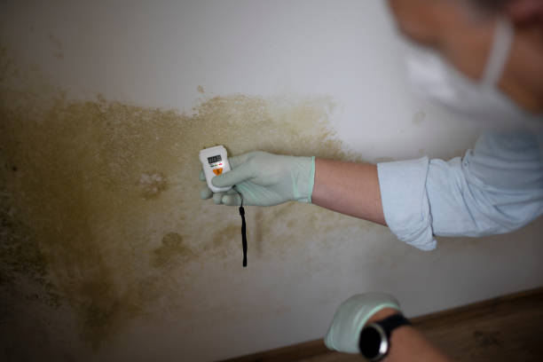 Best Local Mold Removal Service  in Centuria, WI