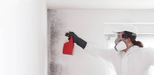 Mold Testing and Removal in Centuria, WI